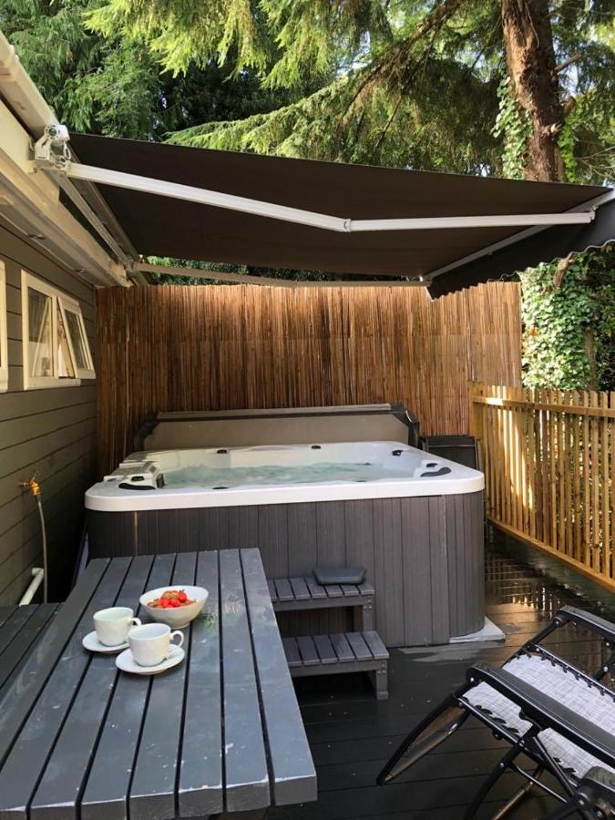 Woodlands Luxury Escape - Lodge 81 New Quay  Extérieur photo
